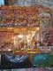 Japanese Pokemon 23 pack set Sealed Booster Packs Rocket gym fossil and more
