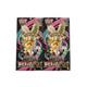 Pokemon Trading Card Game MEGA High Class Pack MEGA Dream ex 2set Shrink Wrap